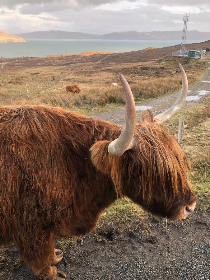 Tiny Home In Isle Of Skye-Pet Friendly Elgol Exterior foto
